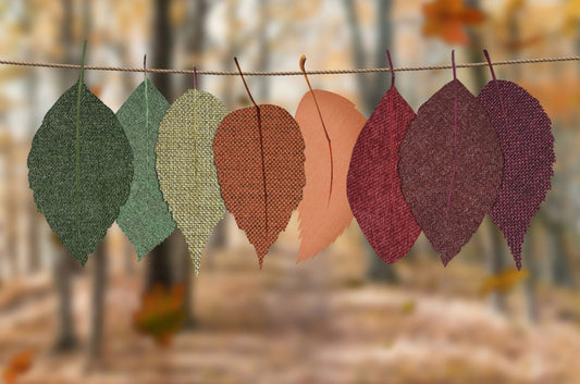 Top Autumn Interior Design Trends for a Cosy Home in 2024