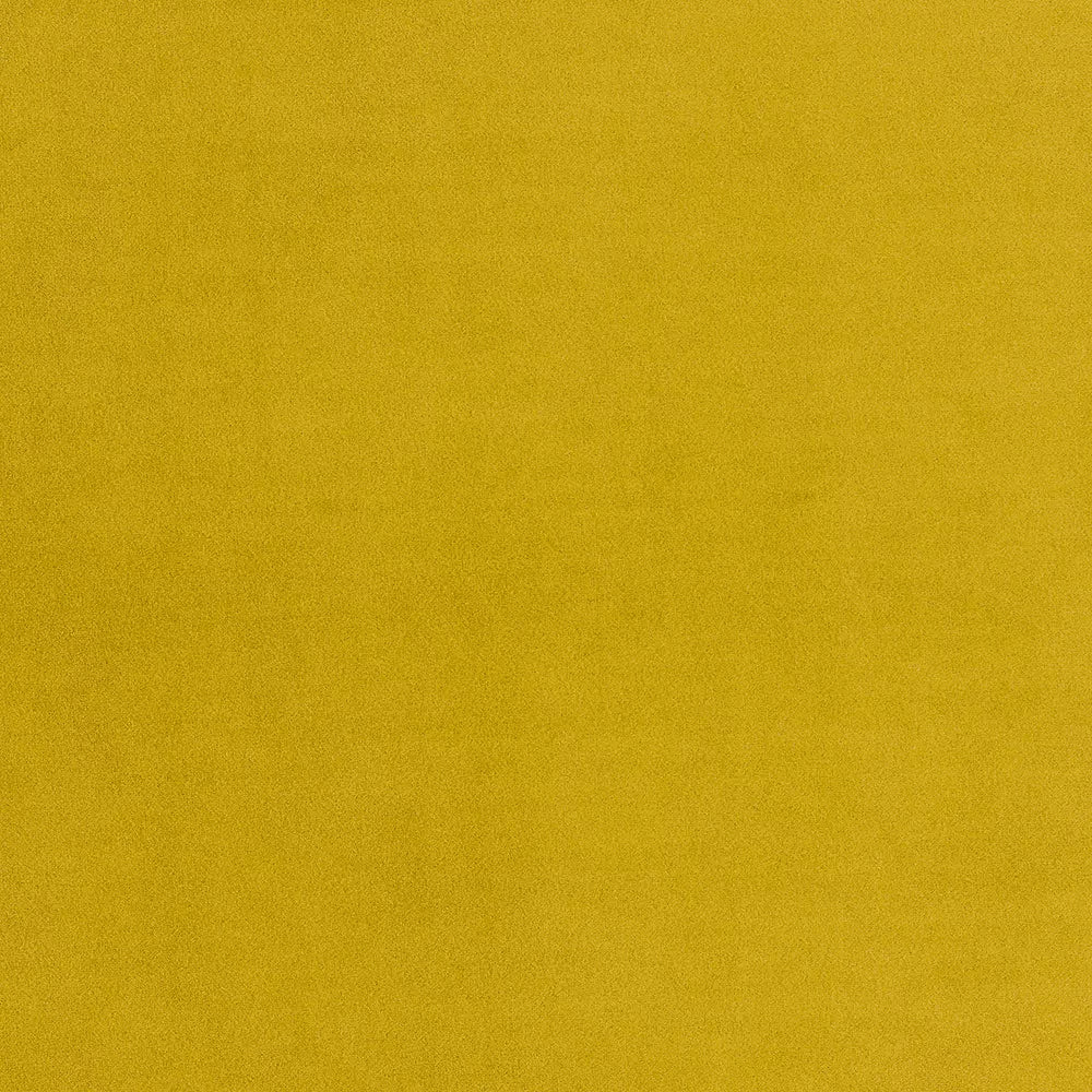 Stain Resistant Boutique Velvet