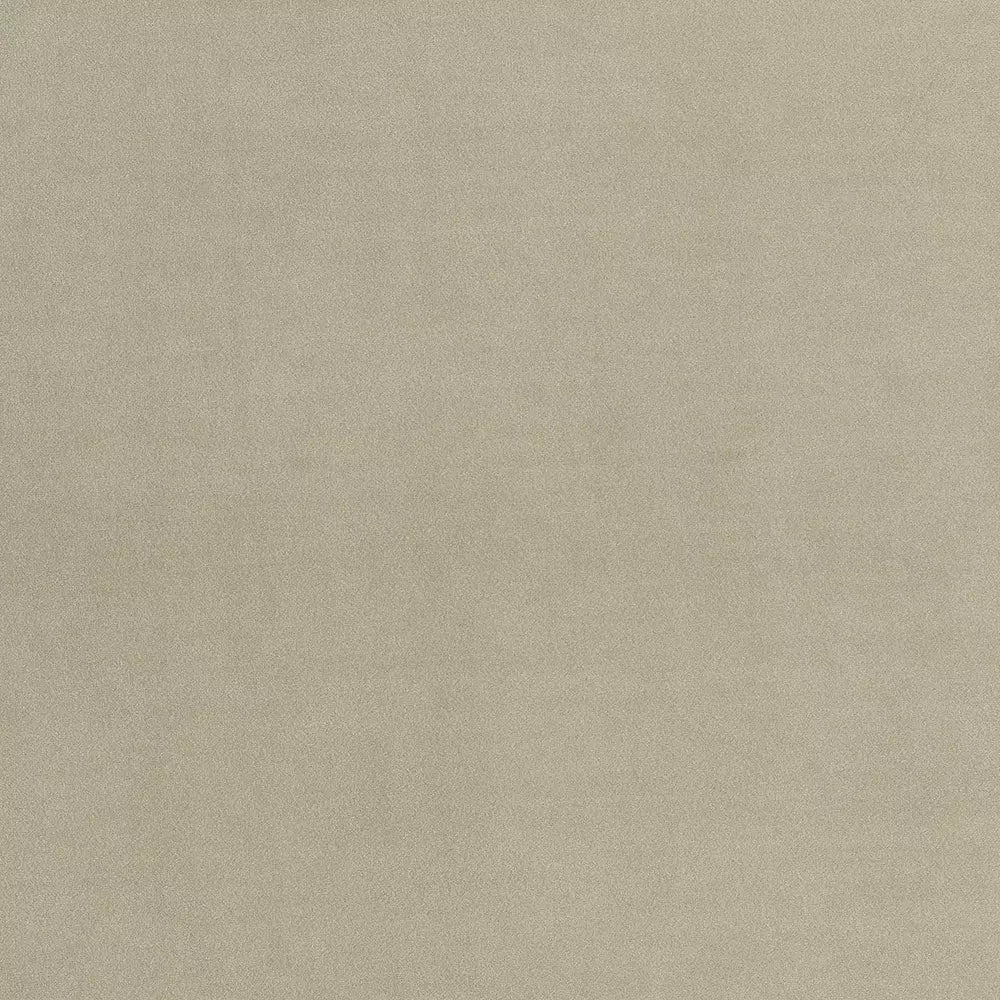 Stain Resistant Boutique Velvet