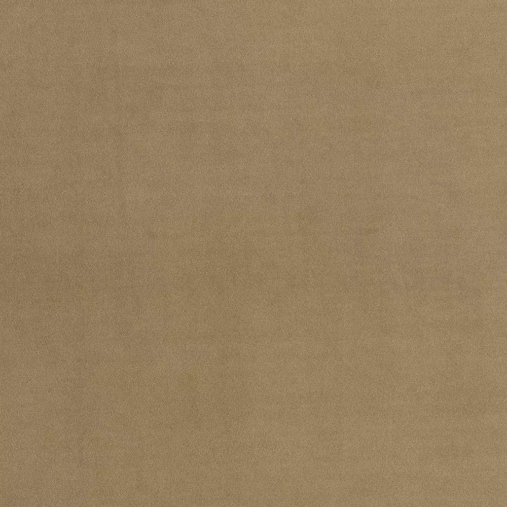 Stain Resistant Boutique Velvet