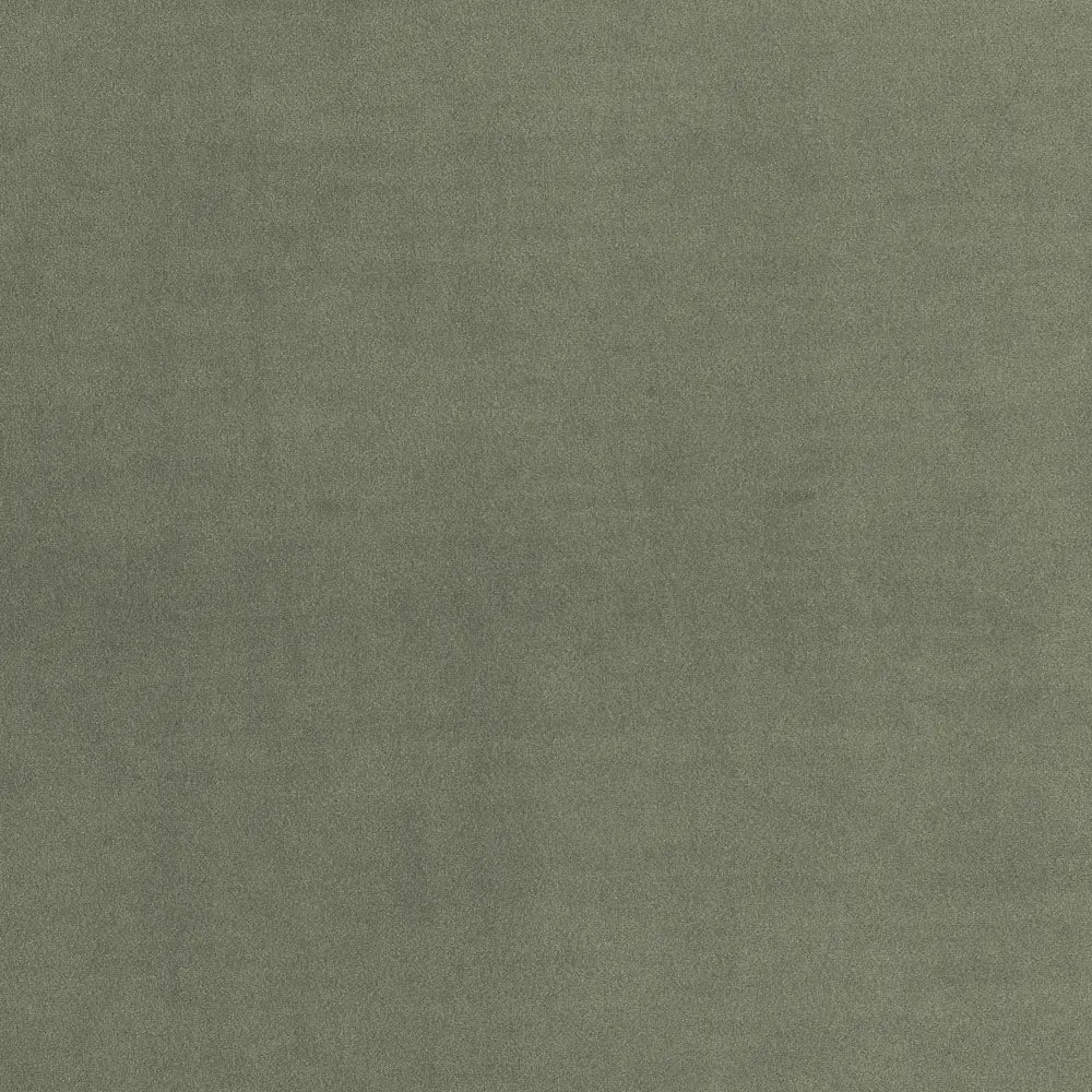 Stain Resistant Boutique Velvet