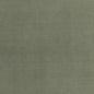 Stain Resistant Boutique Velvet