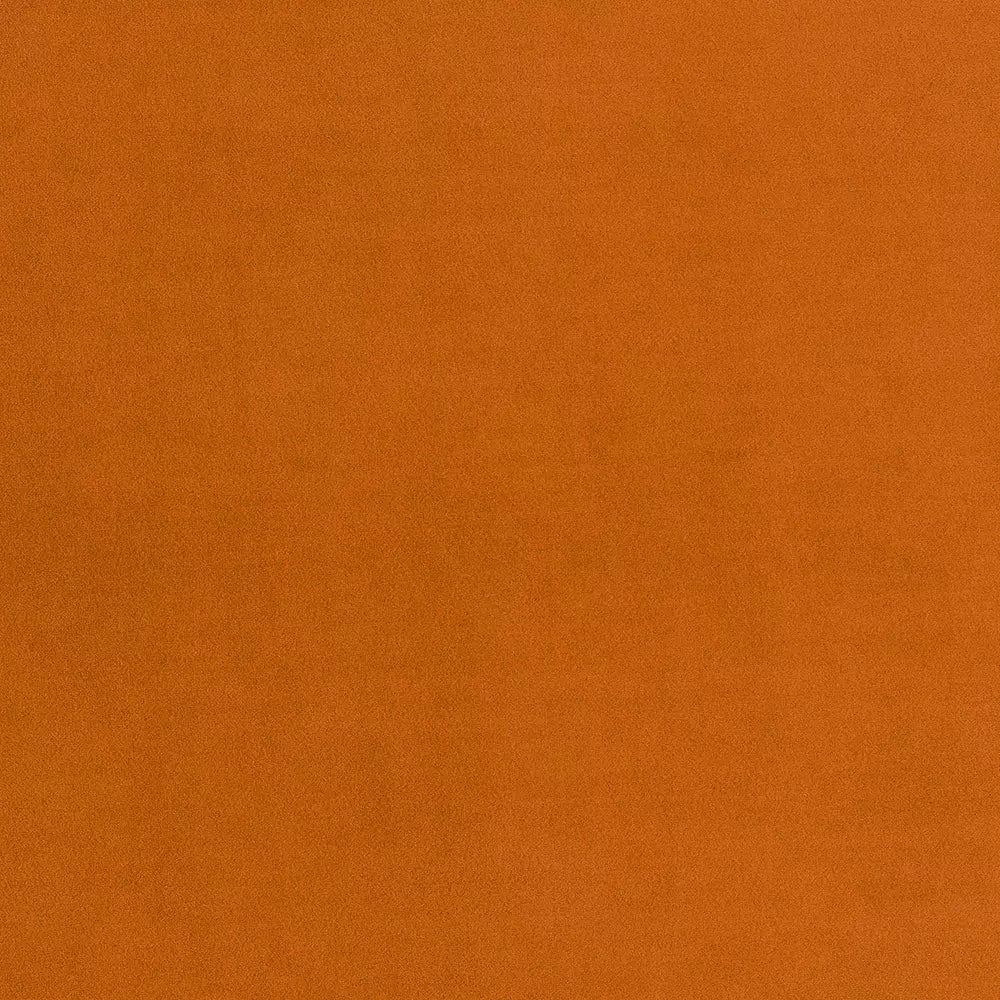 Stain Resistant Boutique Velvet